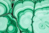 Flowery Polished Malachite Slab - DR Congo #360774-1